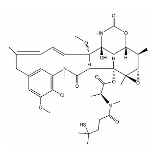 DM4 Inhibitor Antibody Drug Conjugate